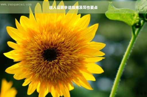 收入证明申请指南及写作要点
