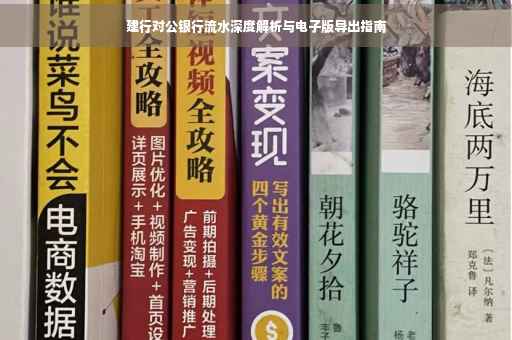 建行对公银行流水深度解析与电子版导出指南