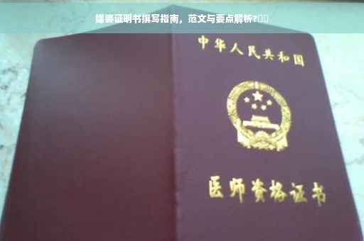 媒婆证明书撰写指南，范文与要点解析?⚡️