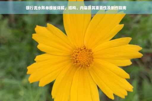 银行流水账单模板详解，结构、内容及其重要性及制作指南