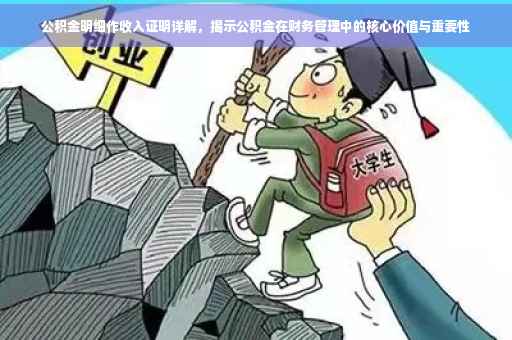 公积金明细作收入证明详解，揭示公积金在财务管理中的核心价值与重要性