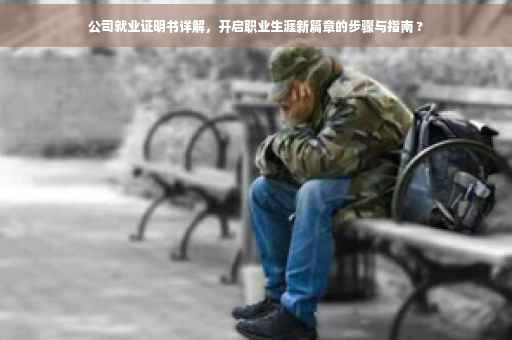 公司就业证明书详解，开启职业生涯新篇章的步骤与指南 ?