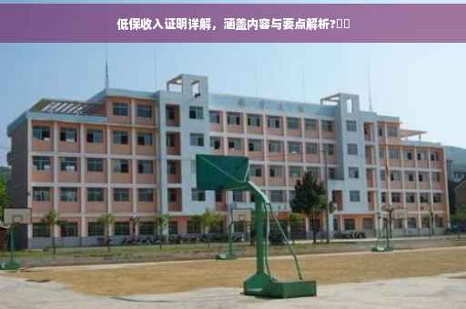 低保收入证明详解，涵盖内容与要点解析?⚡️