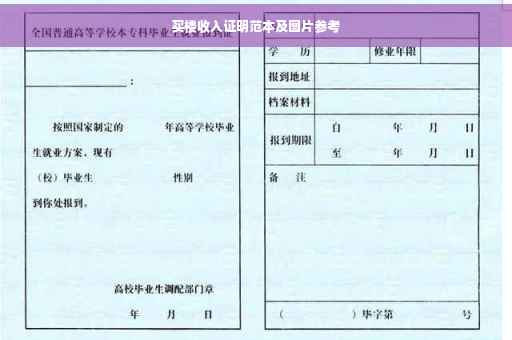 买楼收入证明范本及图片参考