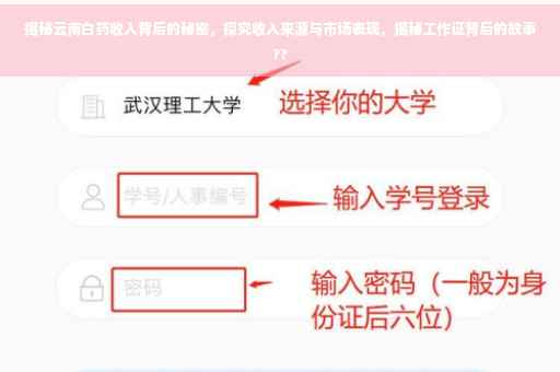 揭秘云南白药收入背后的秘密，探究收入来源与市场表现，揭秘工作证背后的故事??