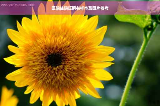 医院住院证明书样本及图片参考