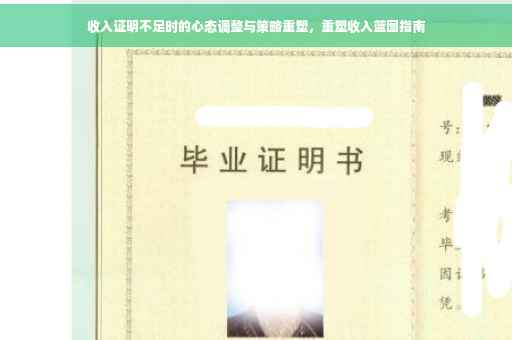 收入证明不足时的心态调整与策略重塑，重塑收入蓝图指南