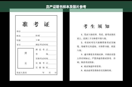 弃产证明书样本及图片参考