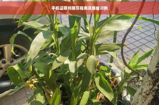 手机证明书撰写指南及模板示例