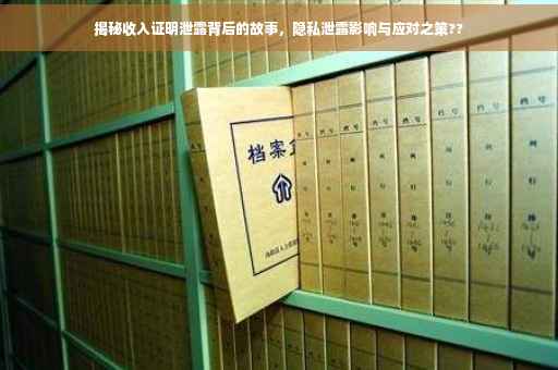 揭秘收入证明泄露背后的故事，隐私泄露影响与应对之策??