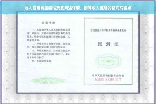 收入证明的重要性及其用途详解，撰写收入证明的技巧与要点