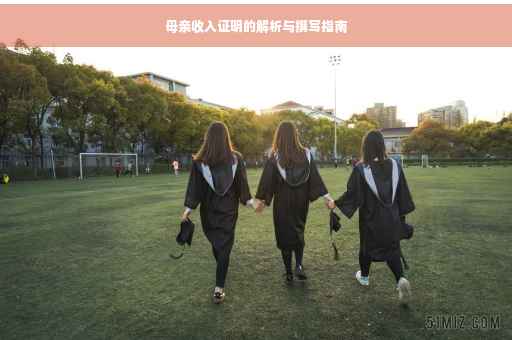 母亲收入证明的解析与撰写指南
