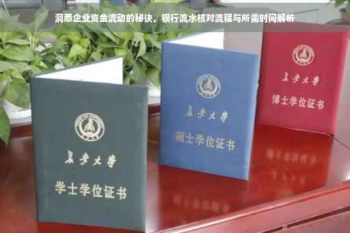 洞悉企业资金流动的秘诀，银行流水核对流程与所需时间解析