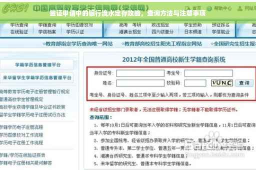 签证申请中的银行流水定存攻略，查询方法与注意事项