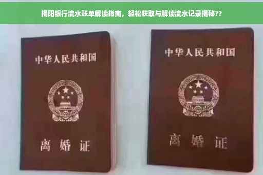 揭阳银行流水账单解读指南，轻松获取与解读流水记录揭秘??