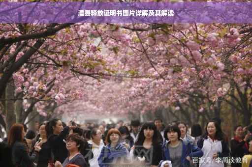 澧县释放证明书图片详解及其解读