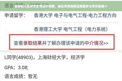 揭秘收入证明贷款背后的真相，单位免责真相深度解析与写作指南??