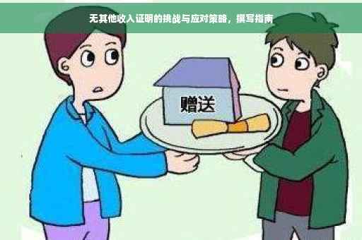 无其他收入证明的挑战与应对策略，撰写指南