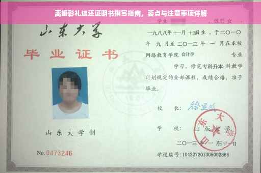 离婚彩礼返还证明书撰写指南，要点与注意事项详解