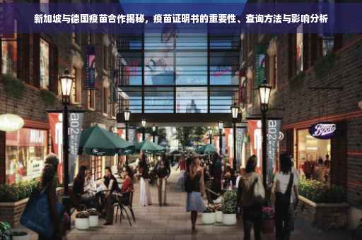 新加坡与德国疫苗合作揭秘，疫苗证明书的重要性、查询方法与影响分析
