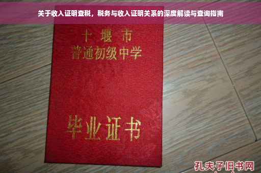 关于收入证明查税，税务与收入证明关系的深度解读与查询指南