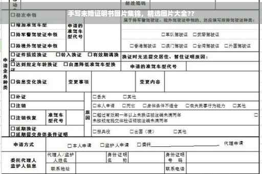 手写未婚证明书图片集锦，精选图片大全??