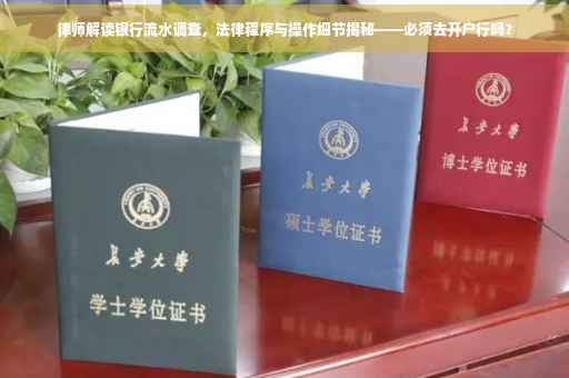 律师解读银行流水调查，法律程序与操作细节揭秘——必须去开户行吗？