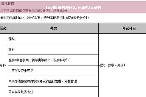 1x识图证书是什么,计算机1x证书
