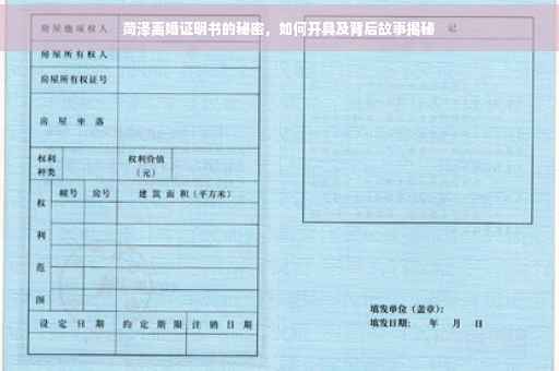 菏泽离婚证明书的秘密，如何开具及背后故事揭秘