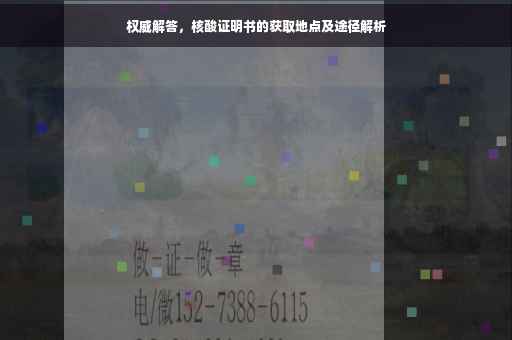 权威解答，核酸证明书的获取地点及途径解析