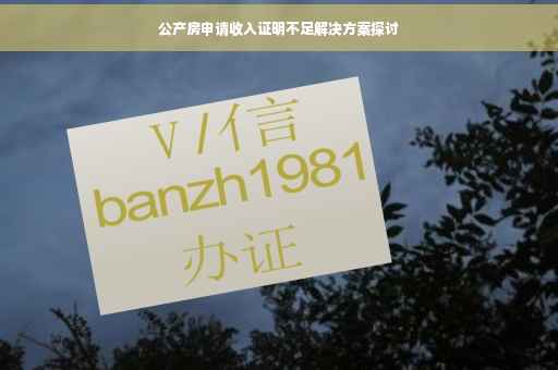 公产房申请收入证明不足解决方案探讨