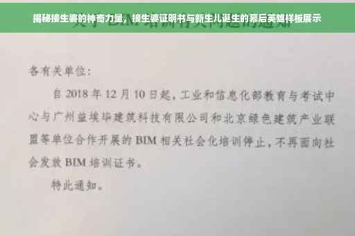 揭秘接生婆的神奇力量，接生婆证明书与新生儿诞生的幕后英雄样板展示