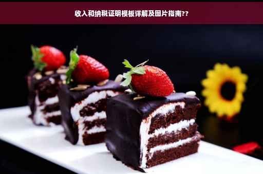 收入和纳税证明模板详解及图片指南??