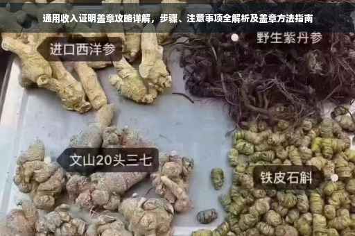 通用收入证明盖章攻略详解，步骤、注意事项全解析及盖章方法指南