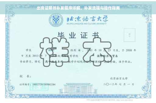 出资证明书补发程序详解，补发流程与操作指南