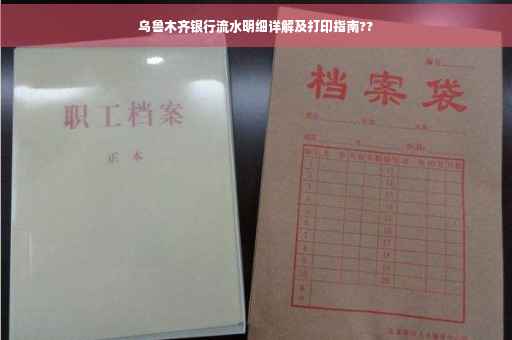 乌鲁木齐银行流水明细详解及打印指南??