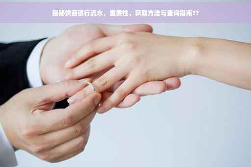 揭秘供商银行流水，重要性、获取方法与查询指南??