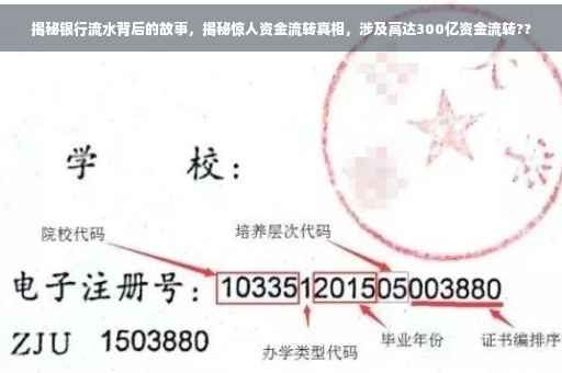 揭秘银行流水背后的故事，揭秘惊人资金流转真相，涉及高达300亿资金流转??