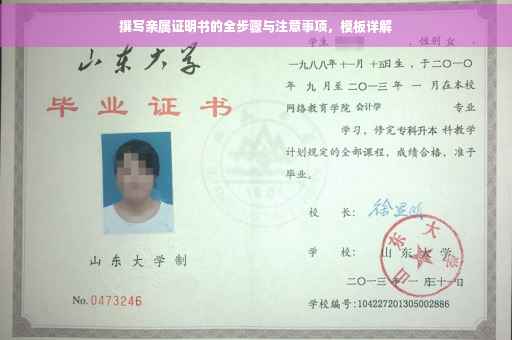 撰写亲属证明书的全步骤与注意事项，模板详解
