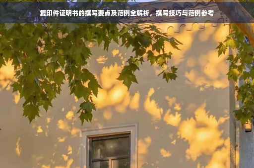 复印件证明书的撰写要点及范例全解析，撰写技巧与范例参考
