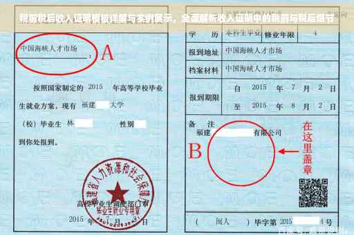 税前税后收入证明模板详解与实例展示，全面解析收入证明中的税前与税后细节