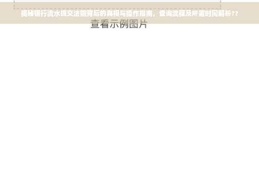 揭秘银行流水提交法院背后的真相与操作指南，查询流程及所需时间解析??