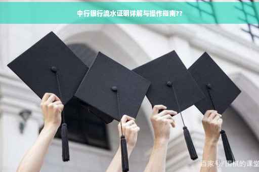中行银行流水证明详解与操作指南??