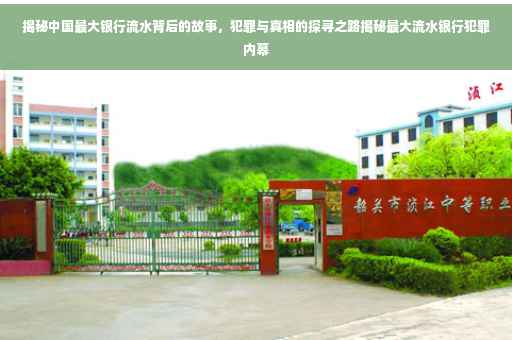 揭秘中国最大银行流水背后的故事，犯罪与真相的探寻之路揭秘最大流水银行犯罪内幕