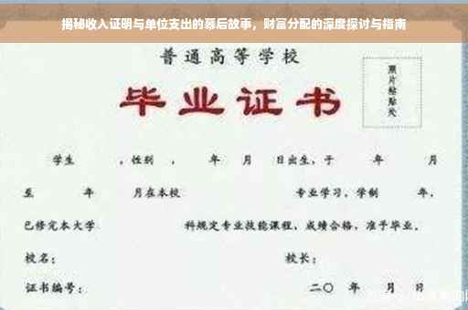 揭秘收入证明与单位支出的幕后故事，财富分配的深度探讨与指南