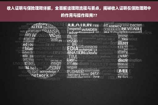 收入证明与保险理赔详解，全面解读理赔流程与要点，揭秘收入证明在保险理赔中的作用与操作指南??