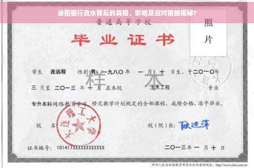 泌阳银行流水背后的真相、影响及应对策略揭秘?