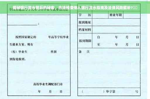 揭秘银行流水背后的秘密，合法检查他人银行流水指南及法律风险解析?⚡️