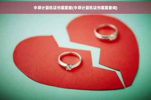 中级计算机证书哪里查(中级计算机证书哪里查询)