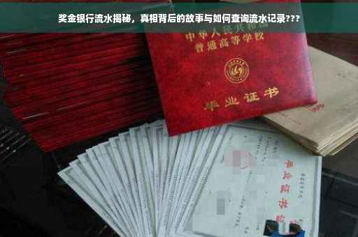 奖金银行流水揭秘，真相背后的故事与如何查询流水记录???